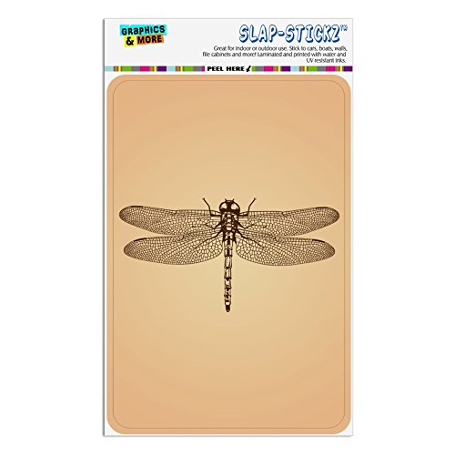 Dragonfly Vintage Insect Home Business Office Sign - Window Sticker - 4" x 6" (10.2cm x 15.2cm)