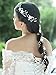 Yean Bride Flower Wedding Hair Vine Floral Bridal Headband Pearl Hair Accessories for Women and Girls (Silver)