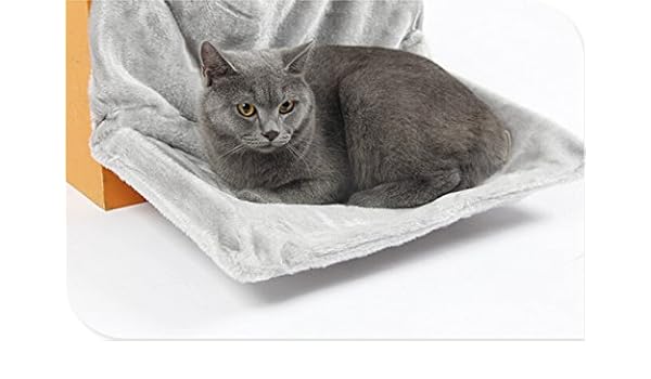 amazon cat radiator bed