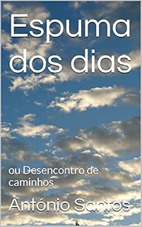 Livro Espuma dos dias: ou Desencontro de caminhos