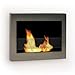 Anywhere Fireplace - SoHo Stainless Steel Wall Mount Fireplace
