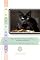 Livro O Prato Do Tigre: Guia de Alimentação Natural, BARF e Dietas Terapêuticas para Gatos (Canis & Felis Felix: Felinos - (A Trilogia Essencial) Livro 3)