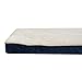 Simmons Beautyrest Thera Bed Orthopedic Memory Foam Dog Bed and Kennel/Crate Mat
