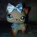 lps Short Hair Cat #391 lps Gray Cat with Blue Eyes with Accessories Drinks Bows Rare Figures Xmas Birthdays Gift