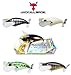 Jackall Pompadour Jr Junior Topwater Lure