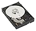 Western Digital WD800BB 80GB 7200RPM 2MB CACHE IDE Bulk/OEM 3.5 Inch Desktop Hard Drive