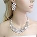 EVER FAITH Women's Austrian Crystal Art Deco Flower Wave Necklace Earrings Set