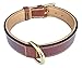 Soft Touch Collars Padded Leather Dog Collar, Large Brown, Real Genuine Leather, 24
