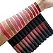 Matte Lipstick Set, NICEFACE 12 Colors Waterproof Long Lasting Lip Gloss Non-Stick Cup Liquid Lipstick Set (4ANGELS)