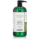 Archipelago Botanicals Morning Mint Body Wash 33 oz