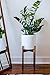 Fox & Fern Mid Century Tall Plant Stand Indoor, Indoor Plant Stand, Tall Plant Stands for Indoor Plants, Plant Holder, Corner Plant Stand - EXCLUDING Plant Pot - Solid Walnut Wood - Fits 10
