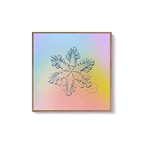 Framed Canvas Wall Art for Living Room, Bedroom Snowflake Theme Canvas Prints for Home Decoration Ready to Hang - 16x16 inches