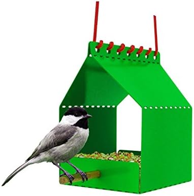 Amazon Com Brdi Build It Yourself Bird Feeder Kit Lime Green