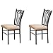 Poundex Shannon Series Dining Chair in Charcoal Iron Finish European Style, Set of 2