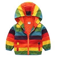 LIUONE Kid Infant Toddler Baby Boys Long Sleeve Hooded Outerwear Rainbow Stripe Outfits Zip Coat Cloak Jacket (Color Stripe, 2-3 Years)