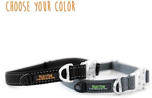 lightweight puppy collar
