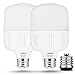 LOHAS 30W LED Bulb Daylight White 5000Kï¼Œ250W-300W Light Bulb Equivalent with Free E26 to E39 Converter, 3400 Lumens Commercial Retrofit LED, High Intensity LED for Garage Warehouse Workshop(2 Pack)