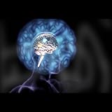 Mindscape