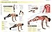 Core Training Anatomy (Anatomies of)thumb 1