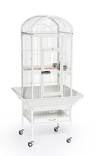 Prevue Pet Products 34512 Dometop Bird Cage, Small, Chalk White