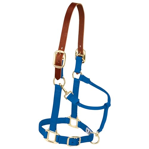 Weaver Leather Nylon Adjustable Breakaway Horse Halter, Small, Blue