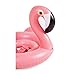 SunnyLIFE Kids Inflatable Pool or Beach Floating Seat Raft for Baby or Infants - Flamingo