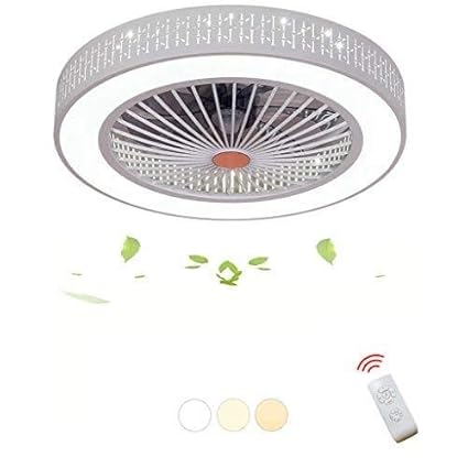Amazon Com Zbjj Creative Fan Ceiling Fan Led Ceiling Lamp With