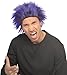 Rubie's Costume Club Dude Wig, Black/Blue, One Size