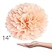 Vidal Crafts 20 Pcs Tissue Paper Pom Poms Kit, 14