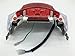 Mega Brands New Tail Light Taillight for Shenke Chuanl Taotao Sunny SSR IceBear 49cc 50cc 125cc 150cc Scooter Moped GY6