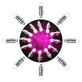 SumDirect Pack of 12 LED Party Lights Non-Blinking Waterproof Lights For Paper Lanterns Balloons Floral or Wedding Decorations (12, Purple)