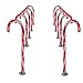 Prextex Christmas Candy Cane Pathway Markers Set of 10 Christmas Indoor/Outdoor Decoration Lights primary