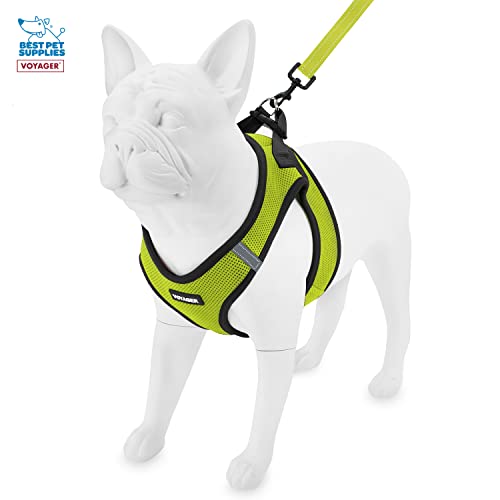 Voyager Stepin Air All Weather Mesh Harness & Reflective Dog 5 ft