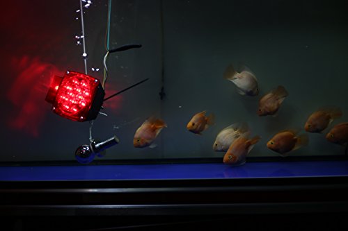 1 CZC+AUTO+Submersible+Trailer+Signal