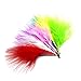 SAMSFX Marabou for Fly Tying Materials Trout Flies Making 100 Pieces in Pack