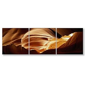 3 Panel Beautiful Flowers Painting Wall Bedroom Living...