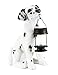 Decorative Energy Saving Dalmatian Dog with Lantern Solar Light