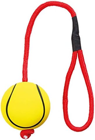 TRIXIE 3459 Neon Balls with Cord Soft Rubber 6 x 30 cm Pack of 24, bunt, 6 x 30 inch - Image 3