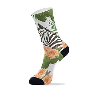 41cB9%2BsEwEL. SS300