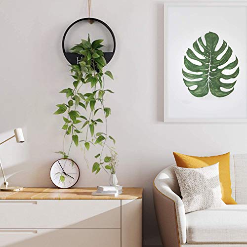 Black Wall-Mounted Planter, 8 Inch Round Iron Succulent Planter Pots and Mini Flower Plant Containers. Flower Pots for Desk, Home Decoration