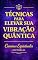 Livro Técnicas para elevar sua vibração quântica: Práticas para elevar sua frequência, regular sua energia, fortalecer sua intuição e viver com mais clareza e coerência