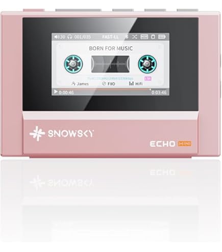 Amazon.com: FIIO DISC Portable HiFi Music Player, Dual DAC Digital