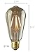 Edison Bulb 4W LED 6 Pack ST64 2700k Non-Dimmable Antique Retro Vintage Squirrel Cage Filament Warm Light Teardrop Style Replacement Bulbs
