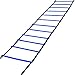 REEHUT Agility Ladder Speed Training Exercise Ladders (Blue, 12 Rungs)  w/ Free User E-Book + Carry Bag