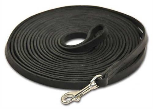 Dean and Tyler Stitched Track Dog Leash with Stainless Steel Hardware, 13-1/2-F…