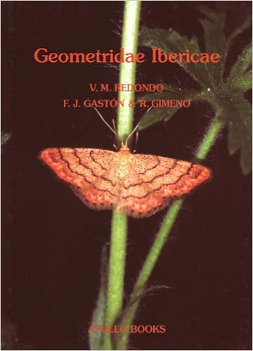Amazon Com Geometridae Ibericae Redondo V M Gaston F J Gimeno R Books
