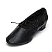 Roymall Women's Latin Dance Shoes Model 101