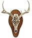 Field Champ Replica Skull Mount Kit, Vista Camo