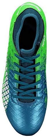 chuteira puma future 18.4 fg campo azul e verde