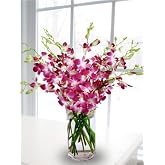 eFlowerWholesale Premium Fresh-Cut Purple Orchids with Vase (20 Stems) &ndash; Elegant Floral Gift for Birthdays, Mother's Day, Easter, Graduation, Back to school | Support a Small Business